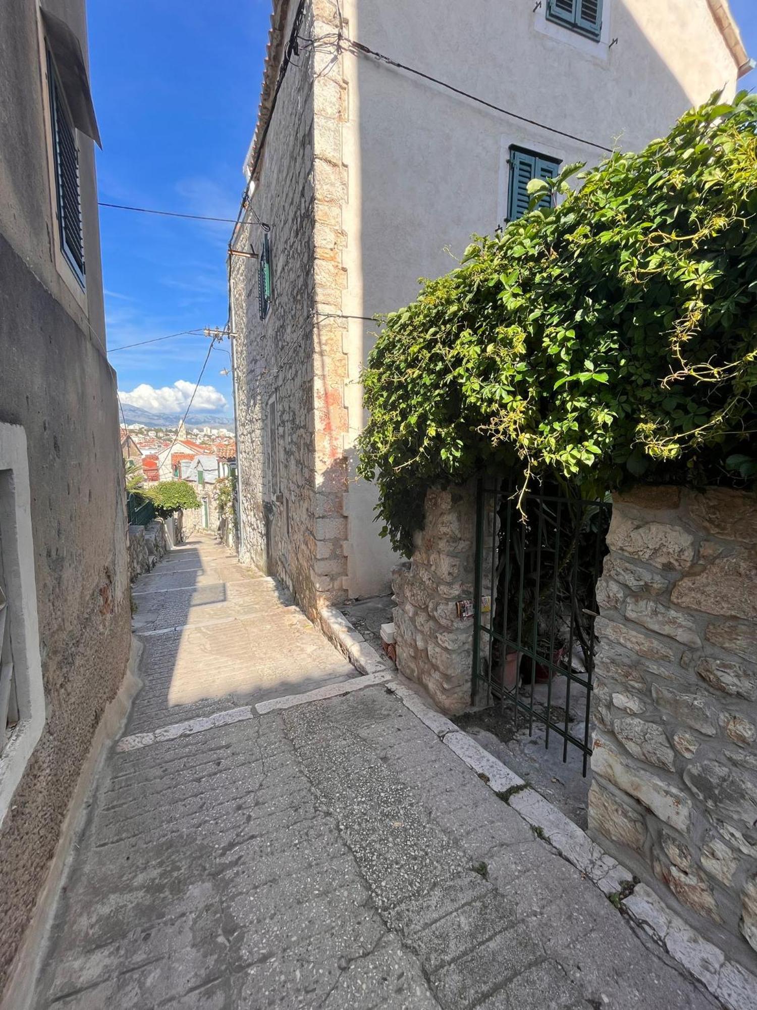House Nenolino * Split