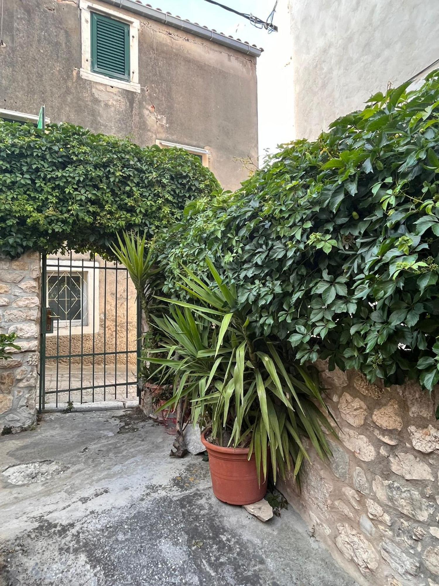 House Nenolino Apartman *