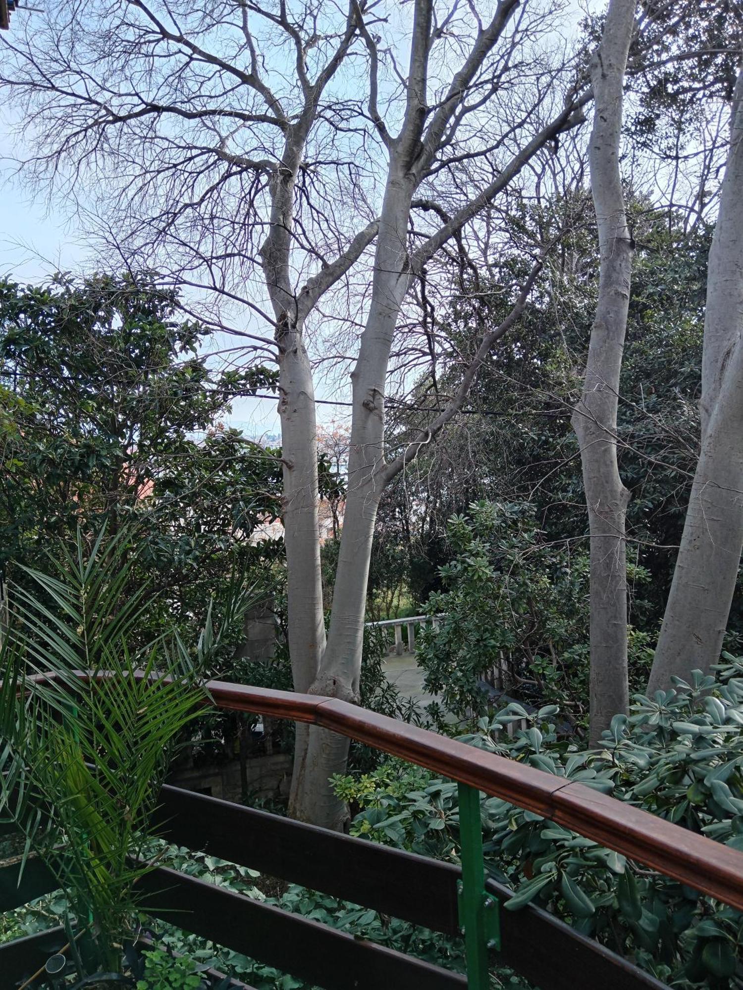 House Nenolino Apartman Split